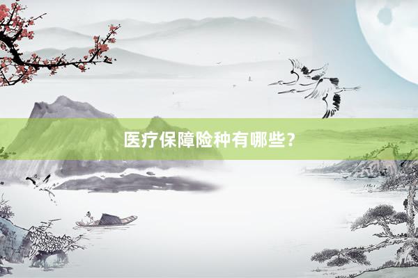 医疗保障险种有哪些？