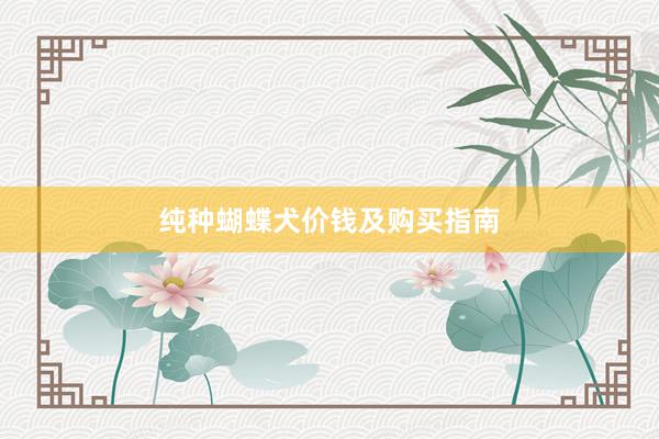 纯种蝴蝶犬价钱及购买指南